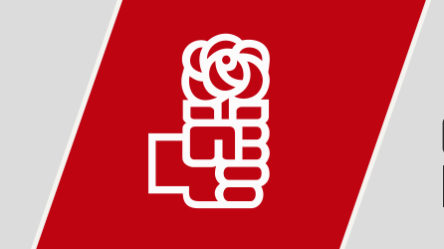 encuestas-o-torturas