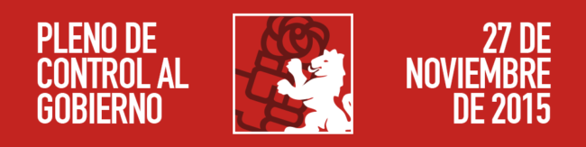 pleno_cabecera27noviembre2015
