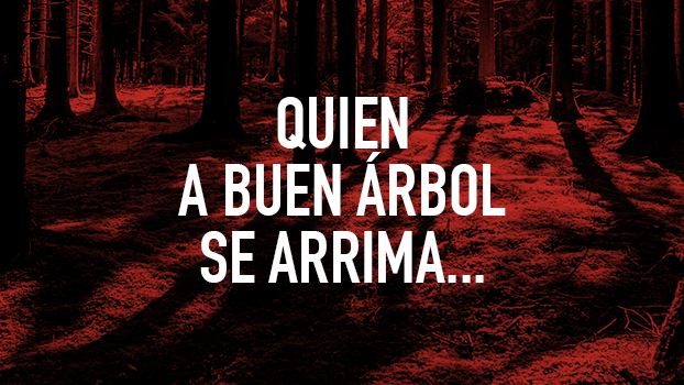 presupuestos-2016-zaragoza