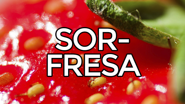 sorfresa