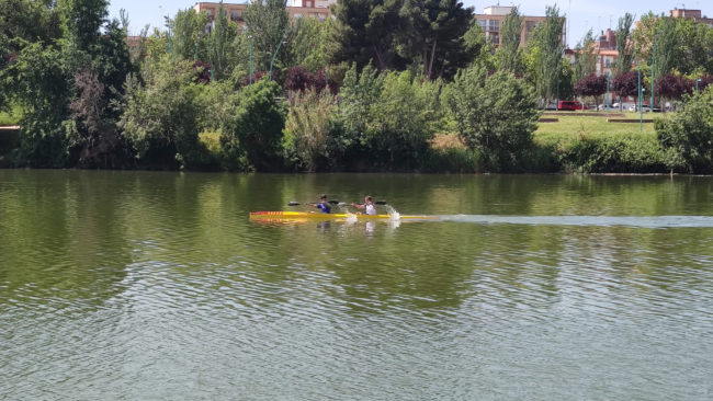 WhatsApp Image 2022-05-18 at 7.02.38 PM